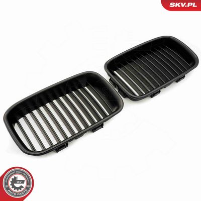GRILA RADIATOR ESEN SKV 66SKV046 1