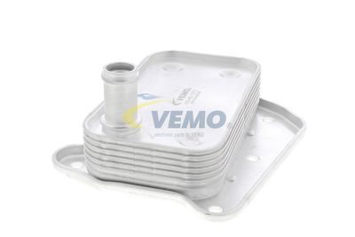 RADIATOR ULEI ULEI MOTOR VEMO V30601273 50