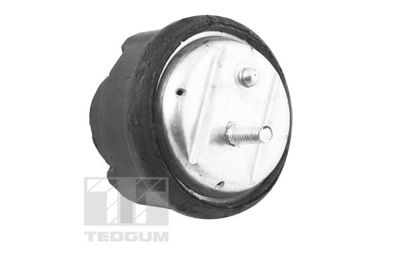 SUPORT MOTOR TEDGUM TED12723 1