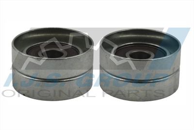 ROLA GHIDARE/CONDUCERE CUREA DISTRIBUTIE