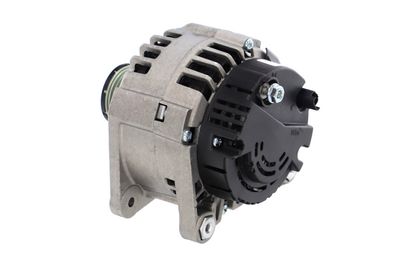 GENERATOR / ALTERNATOR REMANTE 011003000384R 19