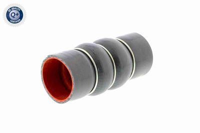 LADELUFTSCHLAUCH VAICO V250949 6