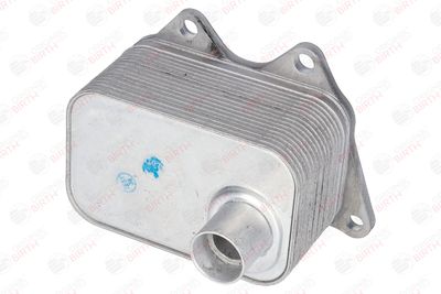 RADIATOR ULEI ULEI MOTOR BIRTH 8961 2