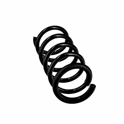 ARC SPIRAL EIBACH R10661 24