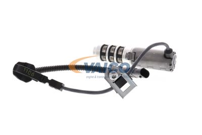 ÖLDRUCKVENTIL VAICO V203630 40