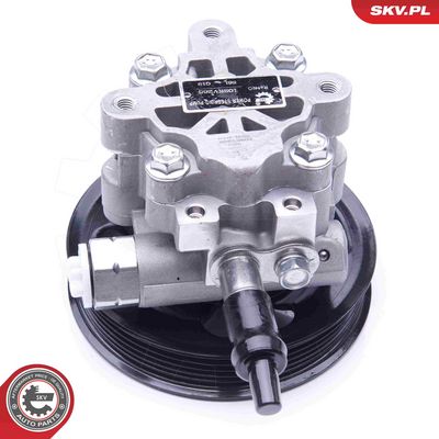 ESEN SKV - Čerpadlo riadenia LAND ROVER , 10SKV265