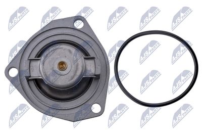 TERMOSTAT LICHID RACIRE NTY CTMPL033 3