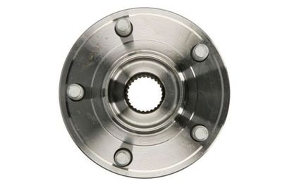 SET RULMENT ROATA MTR 12161784 0