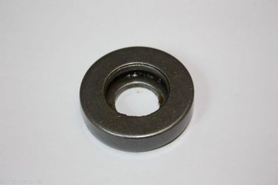 Frikcinis guolis, pakabos statramsčio atramos montavimas