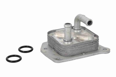 RADIATOR ULEI ULEI MOTOR