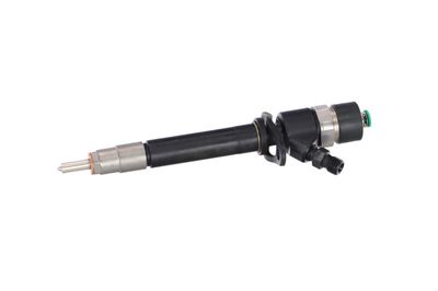 INJECTOR REMANTE 002003000196R 11