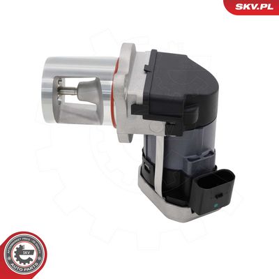 AGR-Ventil ESEN SKV 14SKV306
