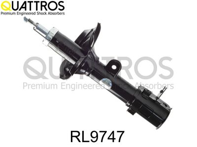 AMORTIZOR DAVID VASCO RL9747 1