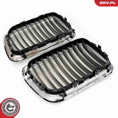 GRILA RADIATOR ESEN SKV 66SKV053 4