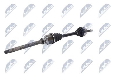 PLANETARA NTY NPWPE081 3