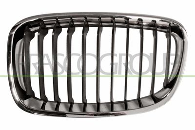 GRILA RADIATOR PRASCO BM1232004