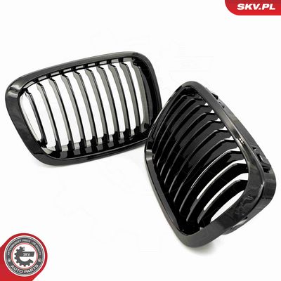 GRILA RADIATOR ESEN SKV 66SKV060 4