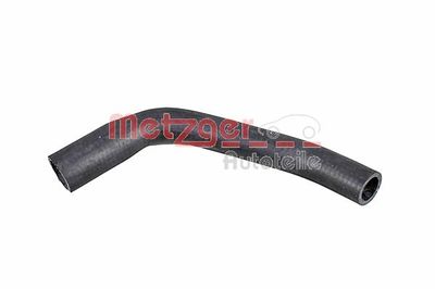 Radiator Hose 2421010