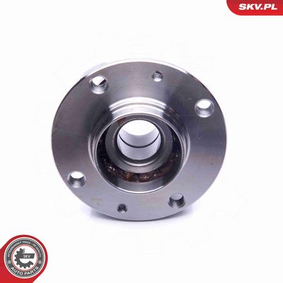 SET RULMENT ROATA ESEN SKV 29SKV222 3