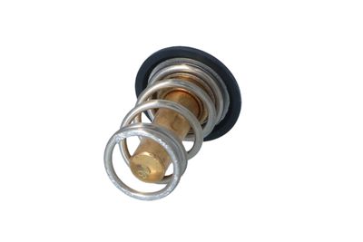TERMOSTAT LICHID RACIRE NRF 725069 16