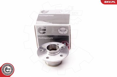 Wheel Bearing Kit 29SKV074