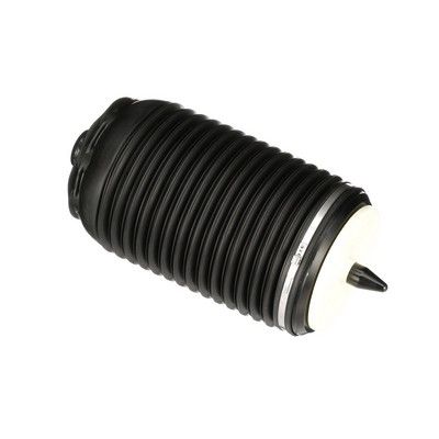 LUFTFEDER FAHRWERK Arnott A3295 54