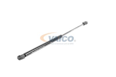 GASFEDER KOFFER-/LADERAUM VAICO V250229 55
