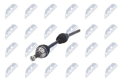 PLANETARA NTY NPWCT081 18