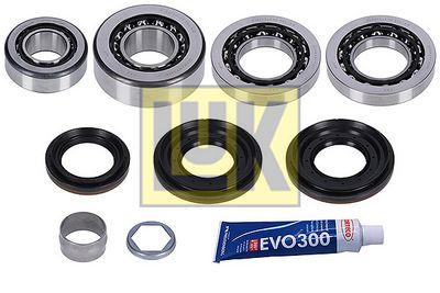 Schaeffler LuK Reparatursatz, Differential