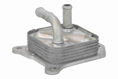 RADIATOR ULEI ULEI MOTOR ACKOJA A38600023 2