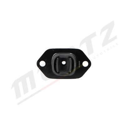Variklio montavimas MERTZ M-S5232