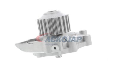 POMPă DE APă RăCIRE MOTOR ACKOJA A510700 29