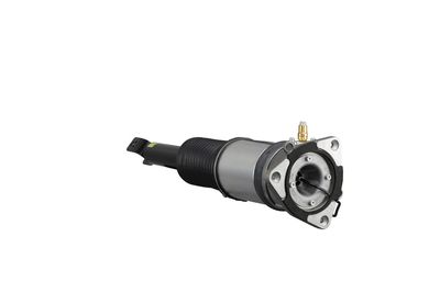 LUFTFEDERBEIN Arnott AS2958 44