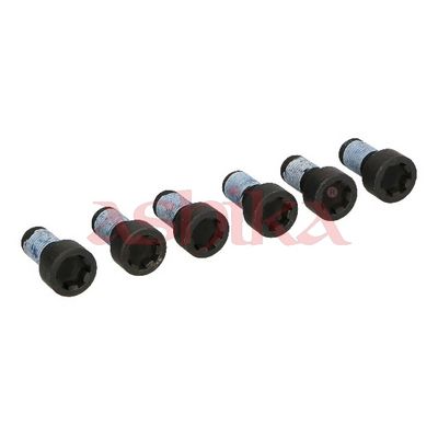 ASHIKA Schraube, Zahnkranzträger-Schwungrad