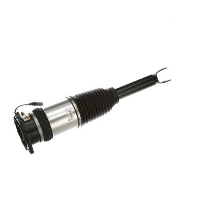 LUFTFEDERBEIN Arnott AS2968 74