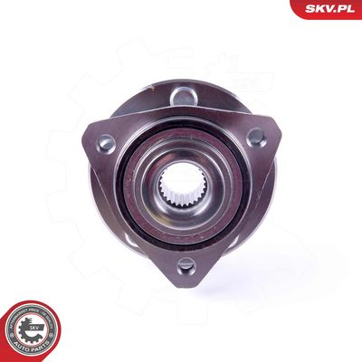 SET RULMENT ROATA ESEN SKV 29SKV424 2