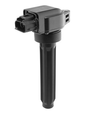 запалителна бобина BorgWarner (BERU) ZS631