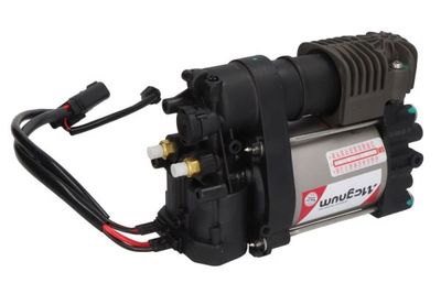 Pneumatische vering compressor