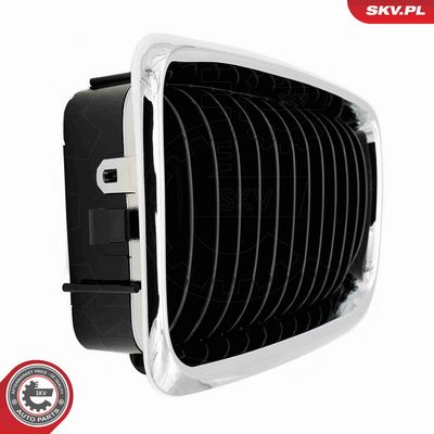 GRILA RADIATOR ESEN SKV 66SKV214 6