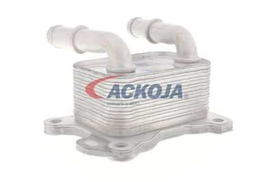 RADIATOR ULEI ULEI MOTOR ACKOJA A38600004 31