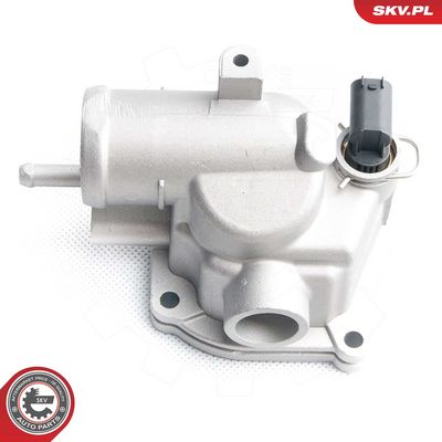 Termostatas, aušinimo skystis