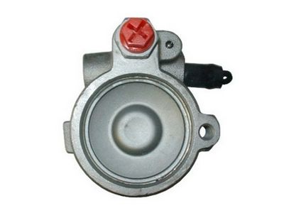 HYDRAULIKPUMPE LENKUNG SPIDAN 53940 1