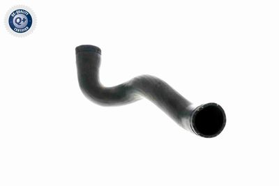 LADELUFTSCHLAUCH VAICO V103141 2