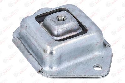 BUCSA PUNTE BIRTH 53920 9