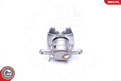 Brake Caliper 42SKV302