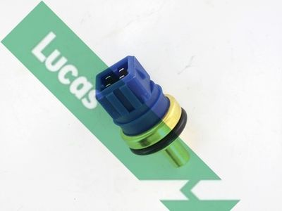 SENZOR TEMPERATURA LICHID DE RACIRE