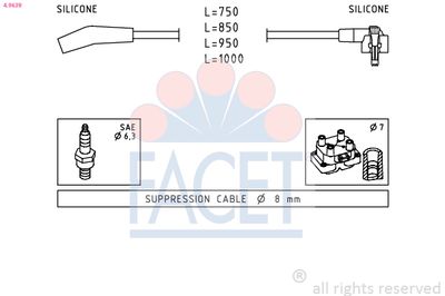 SET CABLAJ APRINDER FACET 49639