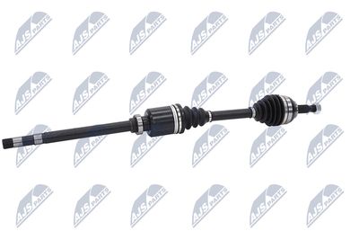 PLANETARA NTY NPWCT026 5