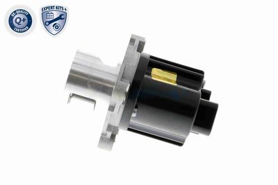 SUPAPA EGR ACKOJA A53630003 5