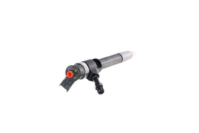 INJECTOR REMANTE 002003001319R 33